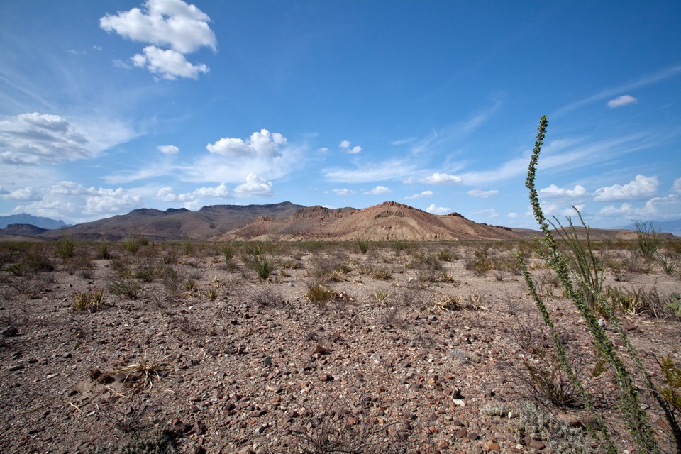 ARS_BBNP_blog_0713_0049