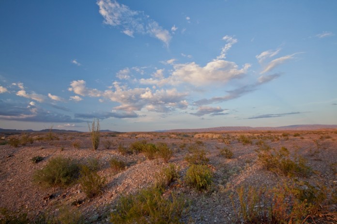 ARS_BBNP_blog_0713_0065