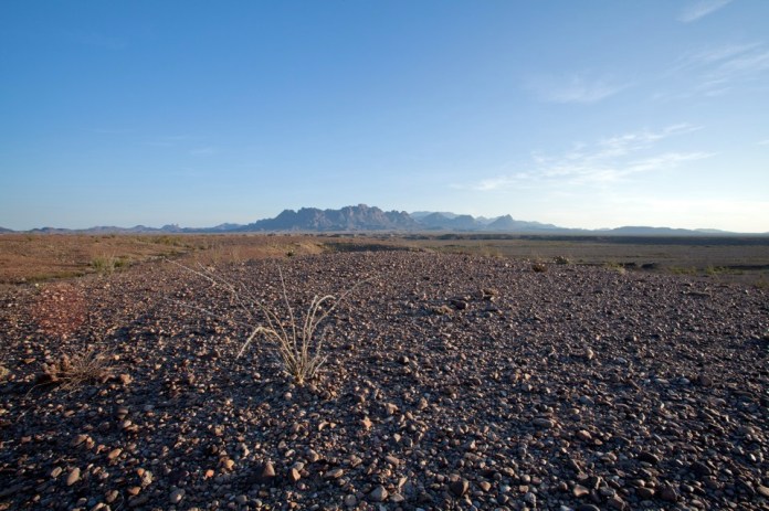 ARS_BBNP_blog_0713_0080