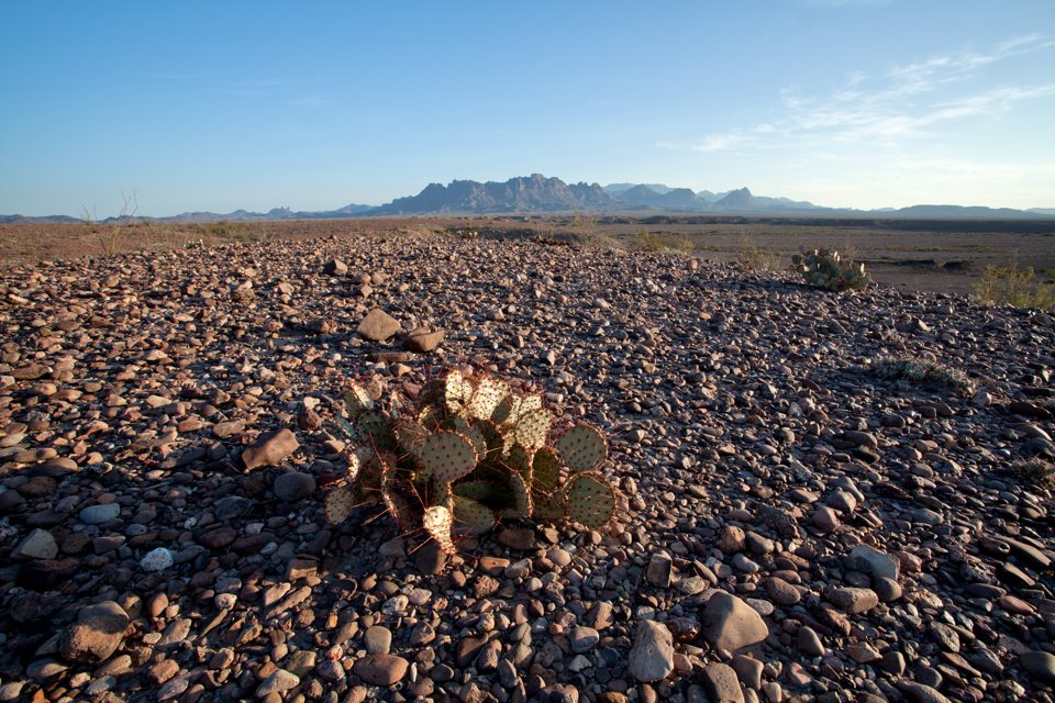 ARS_BBNP_blog_0713_0081