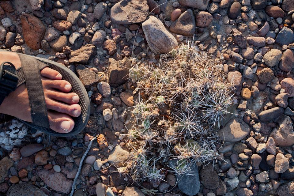 ARS_BBNP_blog_0713_0082