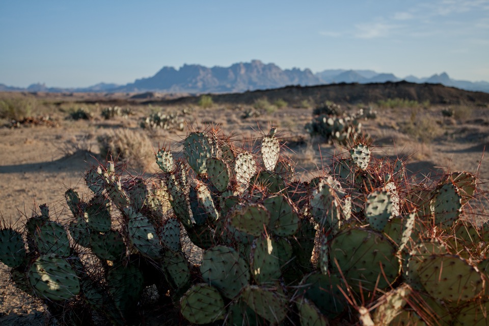 ARS_BBNP_blog_0713_0083