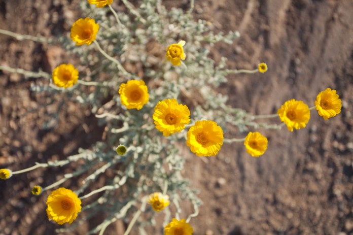 ARS_BBNP_blog_0713_0084