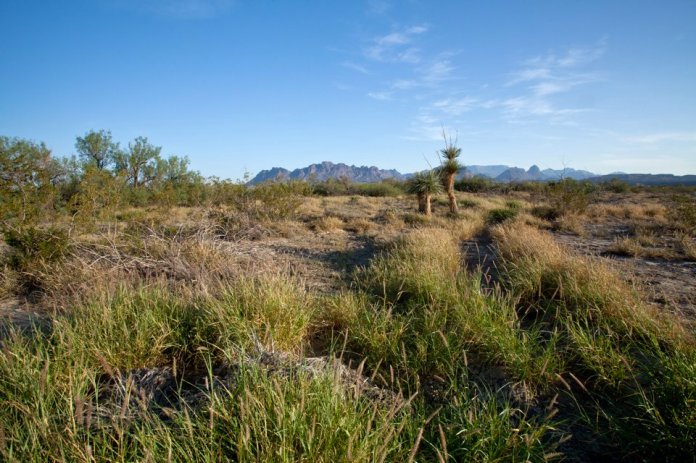 ARS_BBNP_blog_0713_0085