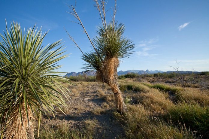 ARS_BBNP_blog_0713_0086