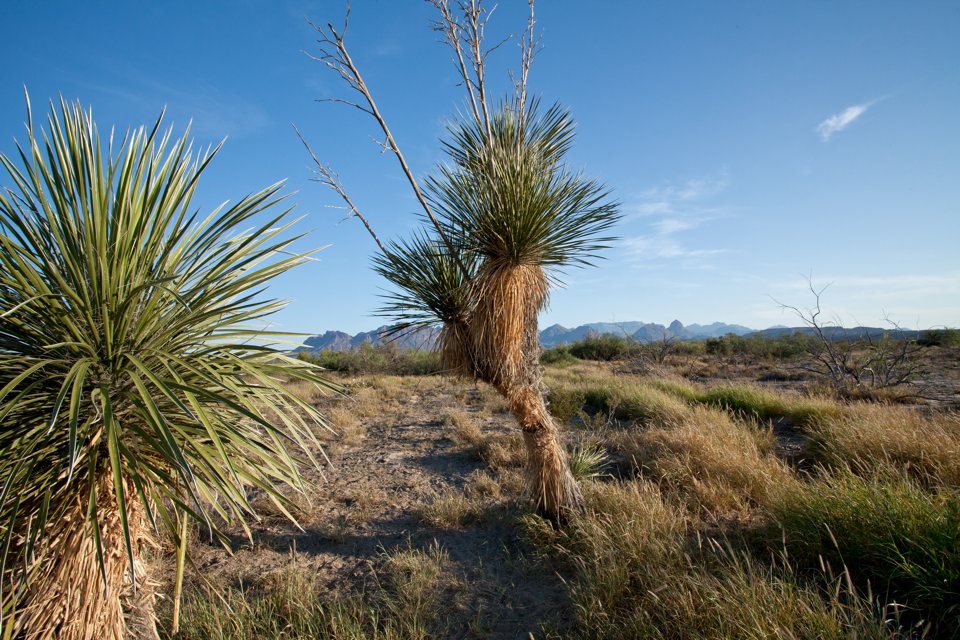 ARS_BBNP_blog_0713_0086