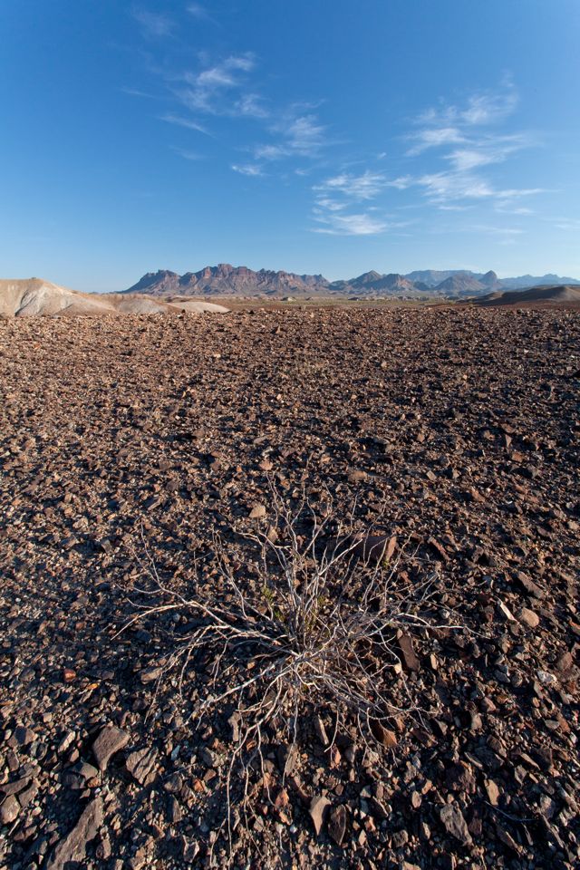 ARS_BBNP_blog_0713_0087