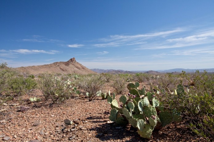 ARS_BBNP_blog_0713_0095