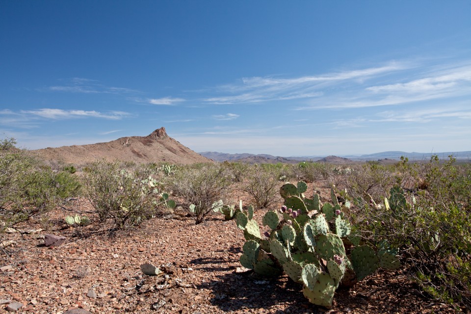 ARS_BBNP_blog_0713_0095