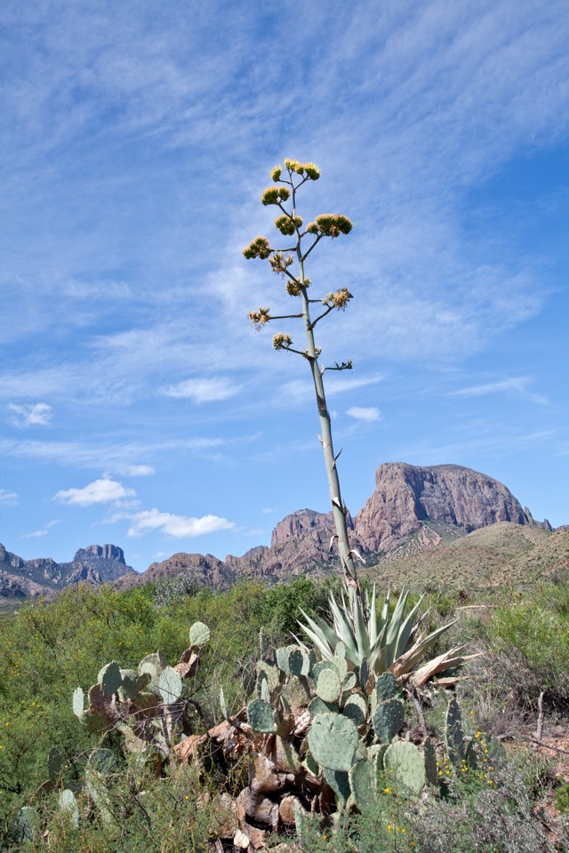 ARS_BBNP_blog_0713_0098