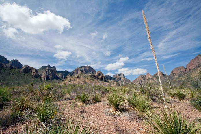 ARS_BBNP_blog_0713_0100