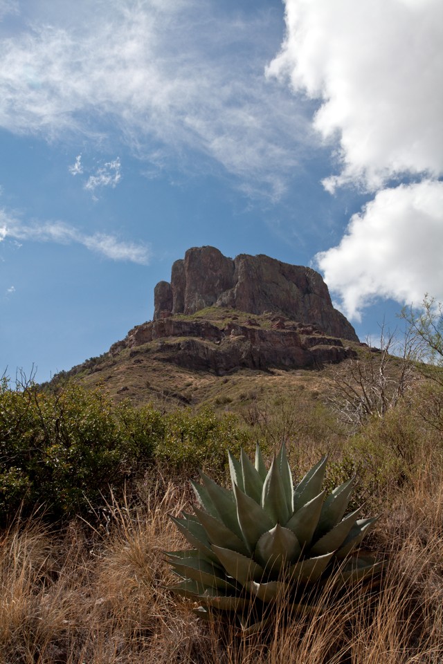 ARS_BBNP_blog_0713_0103