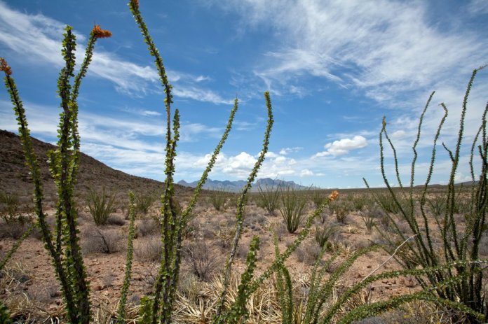 ARS_BBNP_blog_0713_0104