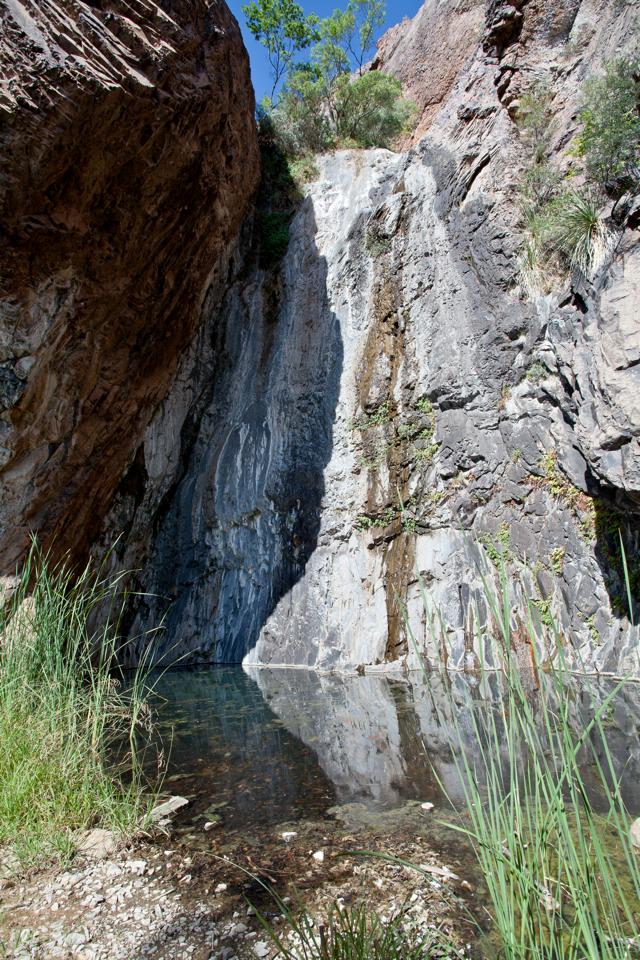 ARS_BBNP_blog_0713_0109