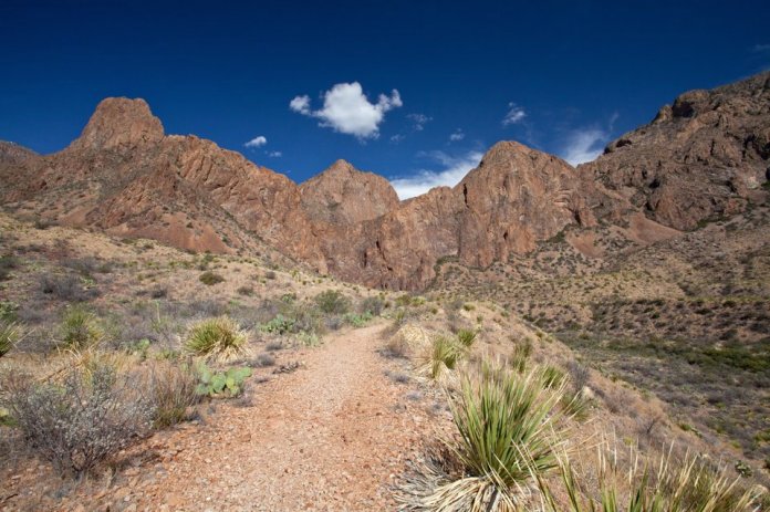 ARS_BBNP_blog_0713_0110