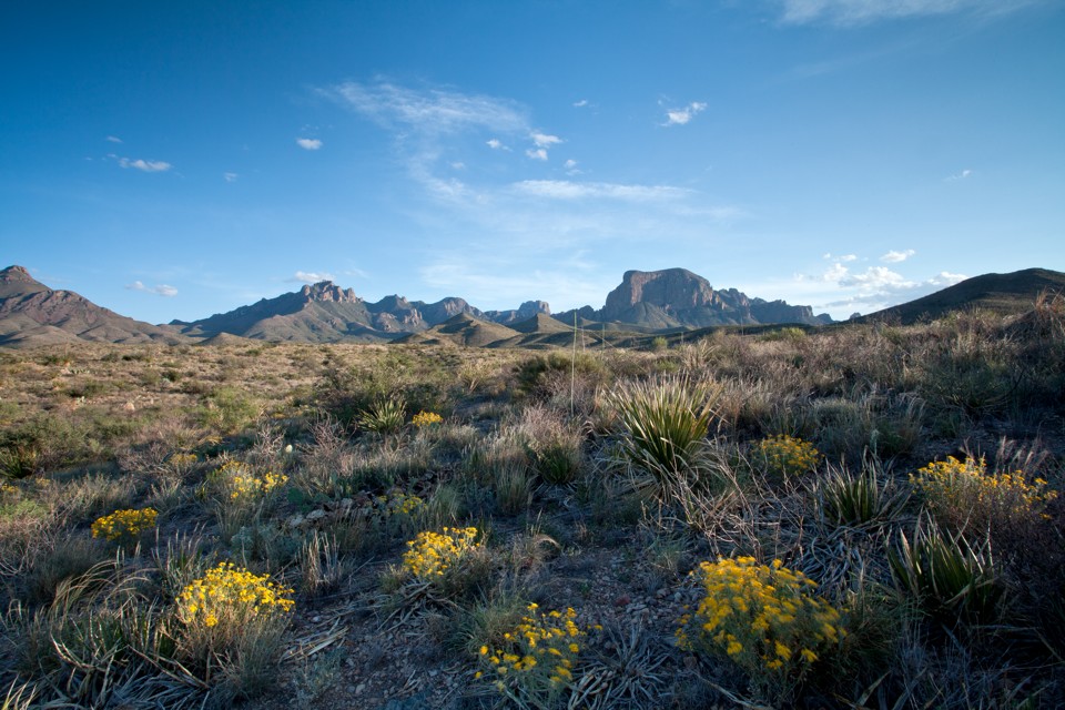 ARS_BBNP_blog_0713_0115