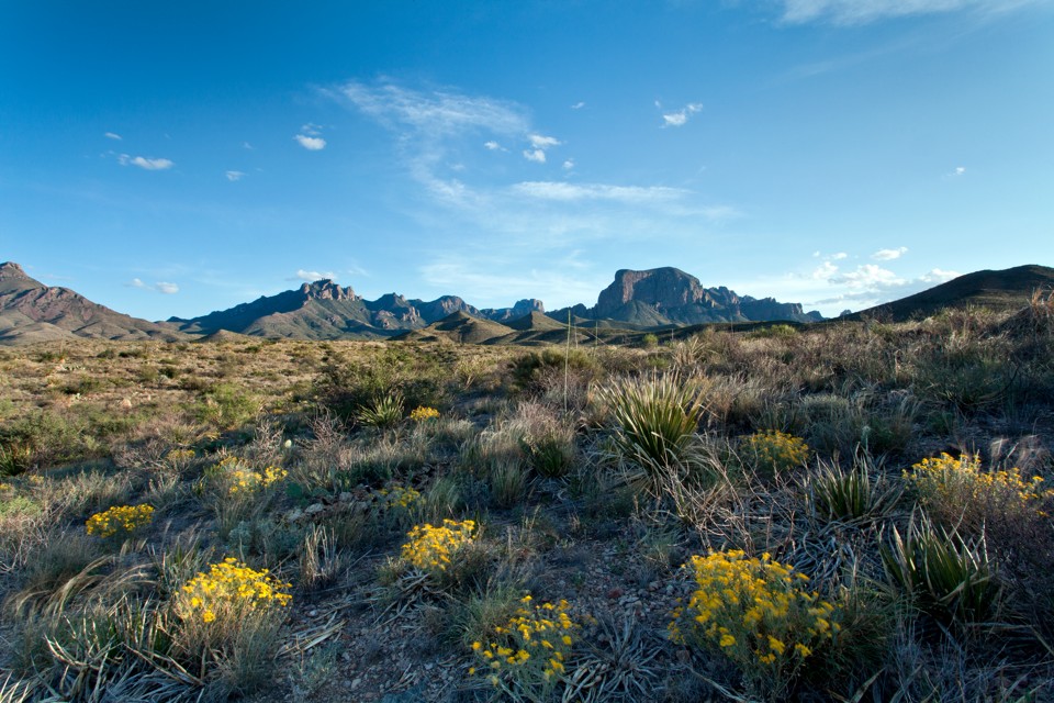 ARS_BBNP_blog_0713_0116