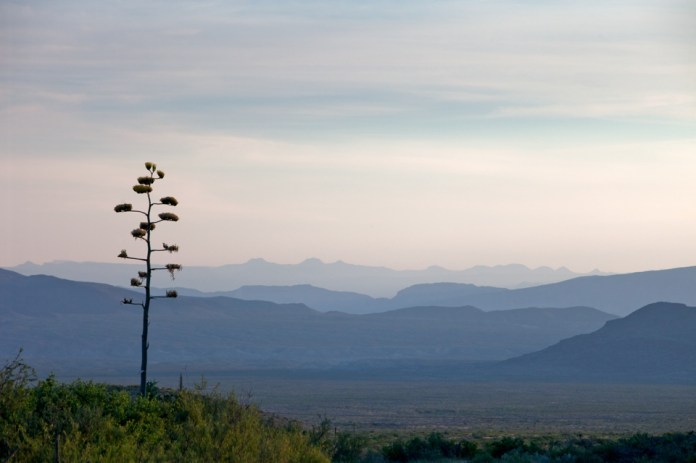 ARS_BBNP_blog_0713_0132