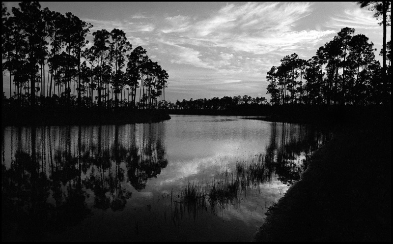 Everglades7