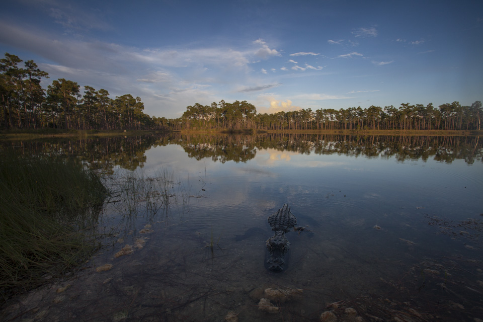 sunset at long pine key
