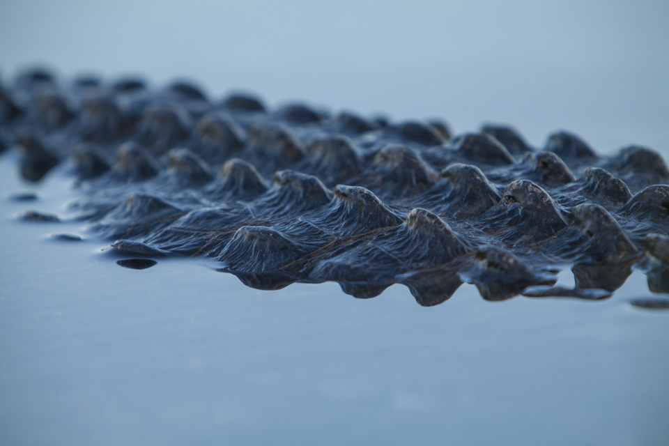 ARS_ENP_0913_0052-31_blog