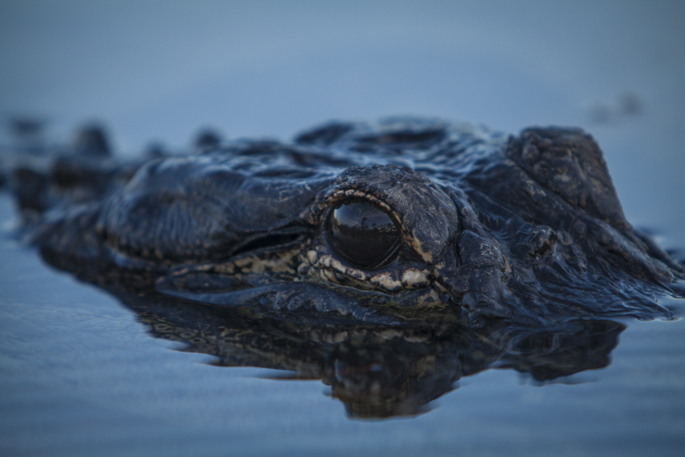 ARS_ENP_0913_0052-32_blog