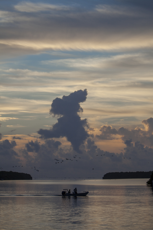 morning at flamingo bay