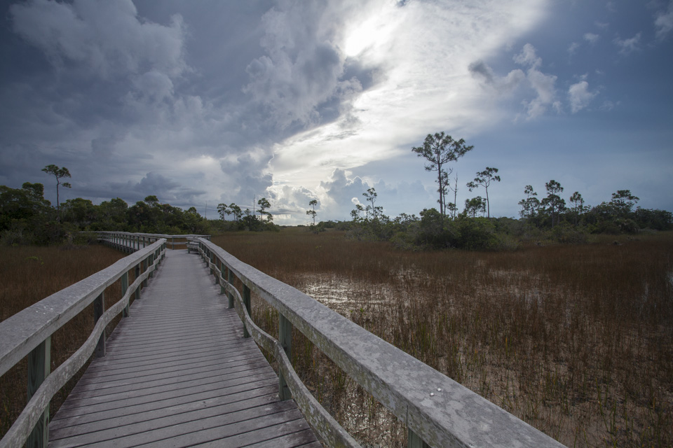 Mahogany Hammock trail boardwalk