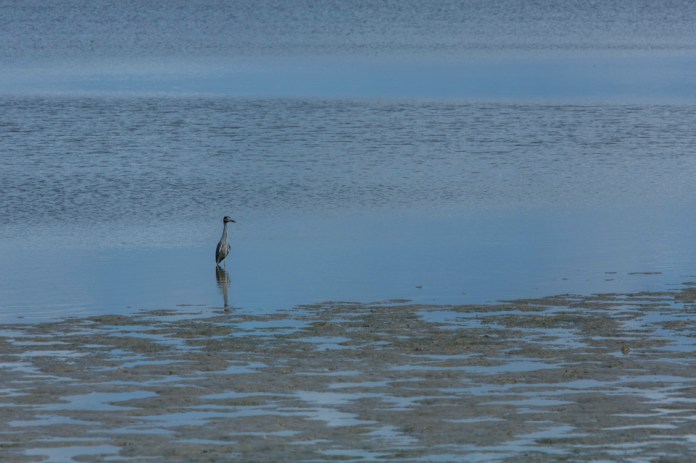 ARS_ENP_0913_0172_blog