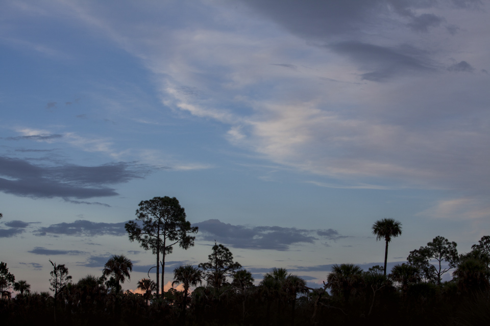 sunset over the river of grass and pine forests near bear island campground