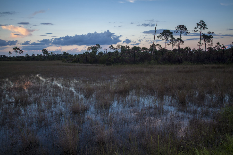 sunset over the river of grass and pine forests near bear island campground