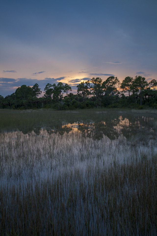 sunset over the river of grass and pine forests near bear island campground
