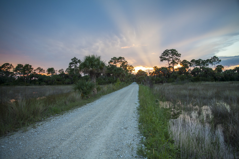 sunset over the river of grass and pine forests near bear island campground