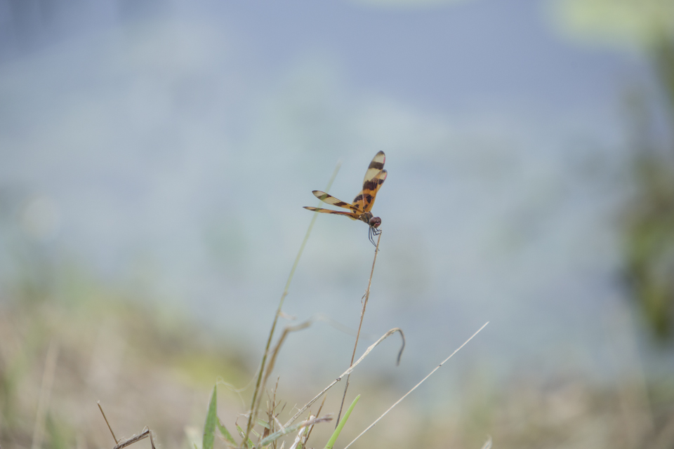 ARS_ENP_0913_0298_blog