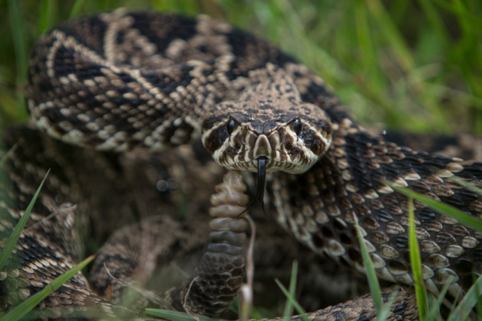 ARS_ENP_0913_0346_blog