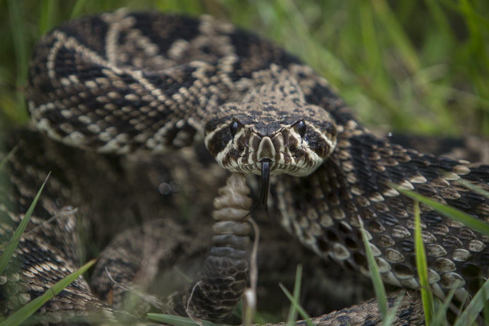 ARS_ENP_0913_0346_blog