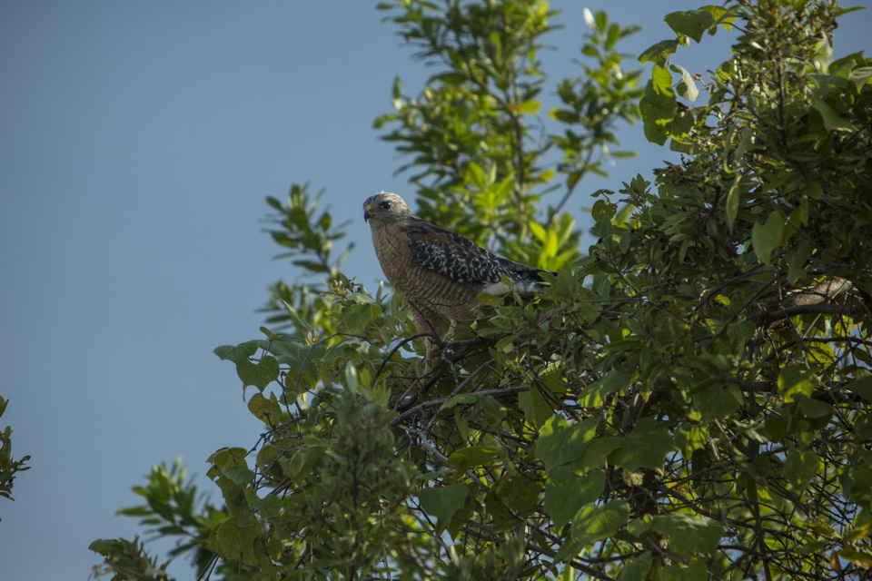 ARS_ENP_0913_0500-20_blog