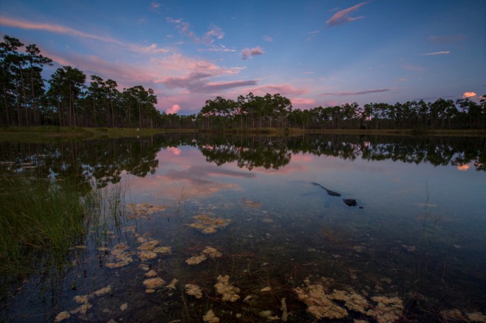 sunset at long pine key