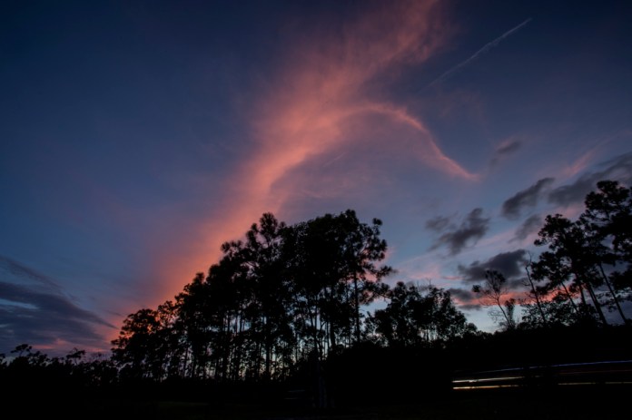sunset over the pines at long pine key