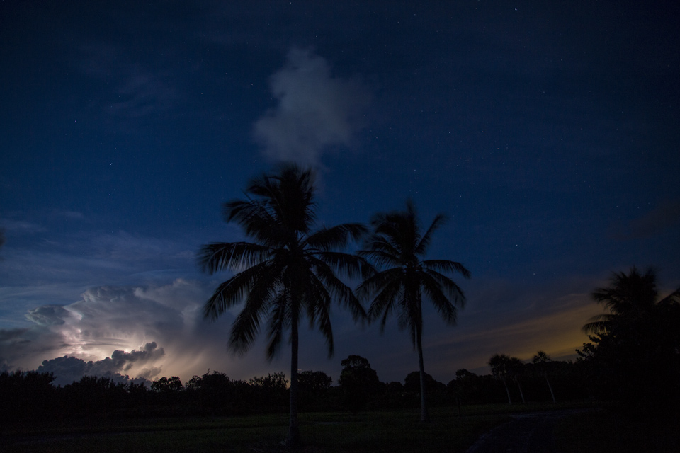 night sky lightning storm through palms at flamingo bay campground