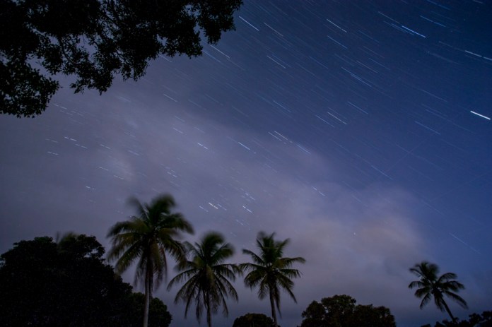 night sky and stars with palm at flamingo bay campground