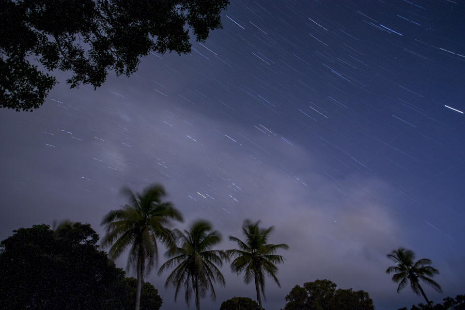 night sky and stars with palm at flamingo bay campground