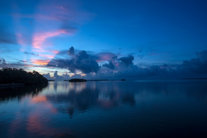 morning at flamingo bay