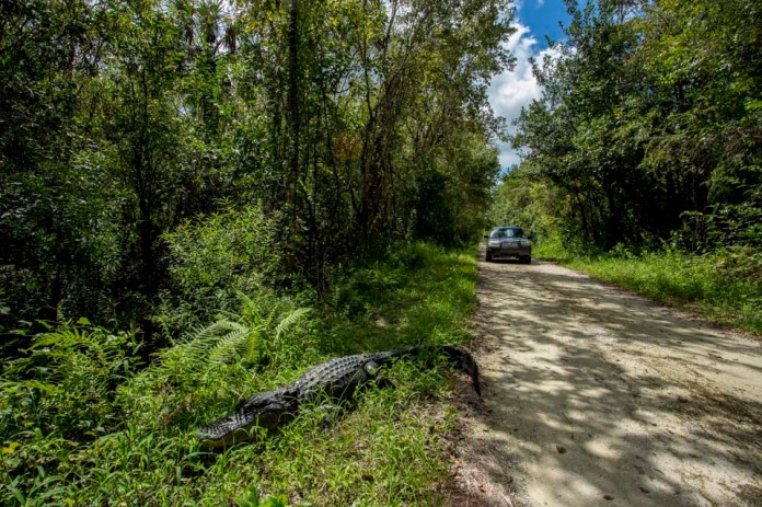 ARS_ENP_0913_0649-713_blog