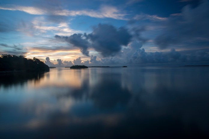 morning at flamingo bay