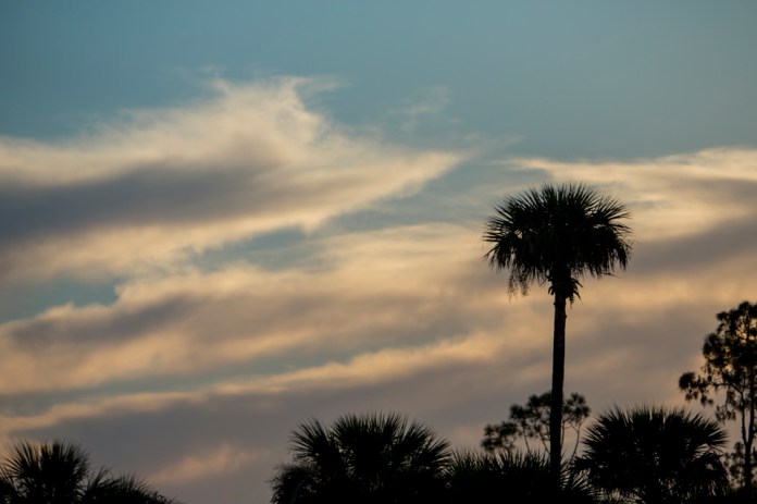 ARS_ENP_0913_0792-96_blog