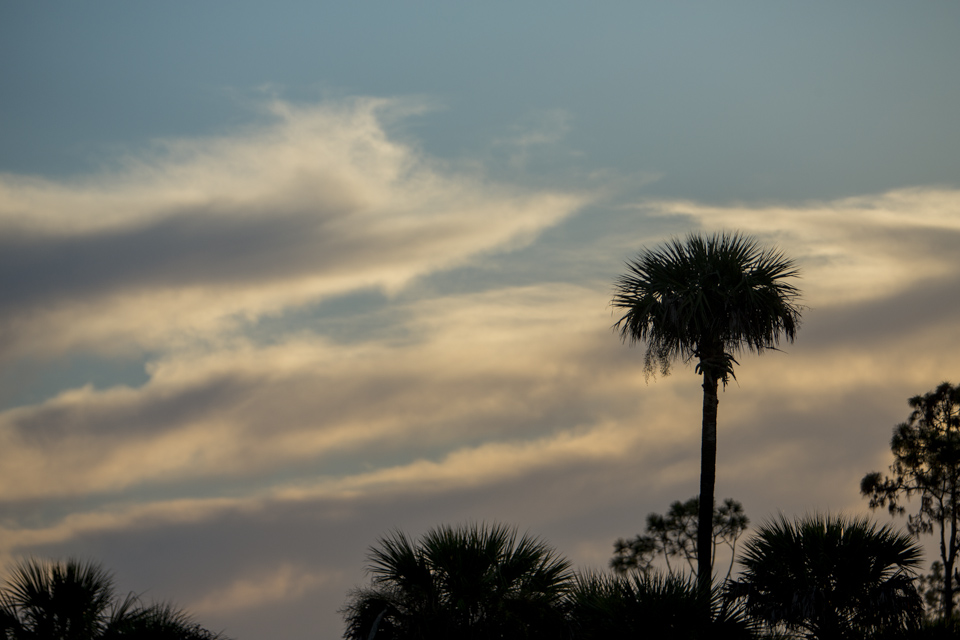 ARS_ENP_0913_0792-96_blog