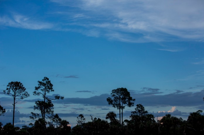 sunset over the river of grass and pine forests near bear island campground
