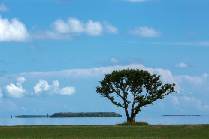 empty campground at flamingo bay