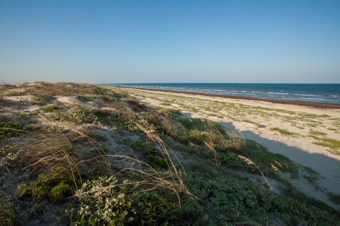 ARS_PINS_20130830_9720